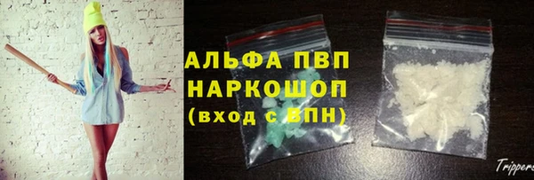 трава Аркадак