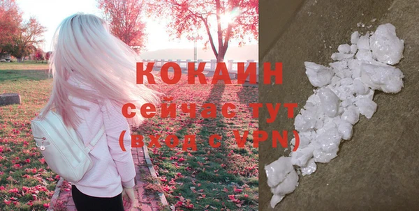 дживик Баксан