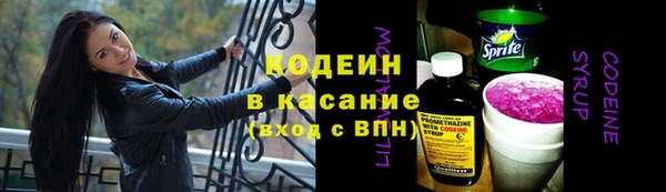 трава Аркадак