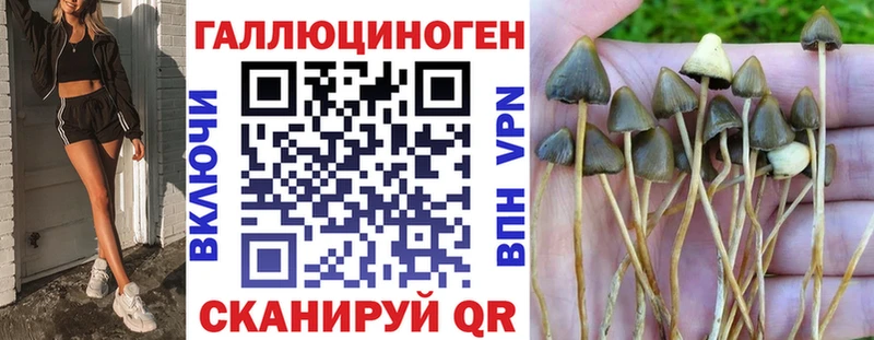 Галлюциногенные грибы Magic Shrooms  Семикаракорск 